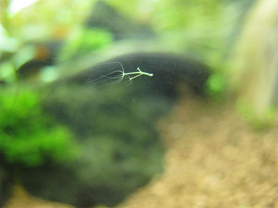 Кракен даркнет store kraken dark link