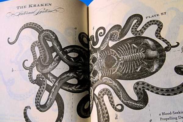 Kraken зеркало стор