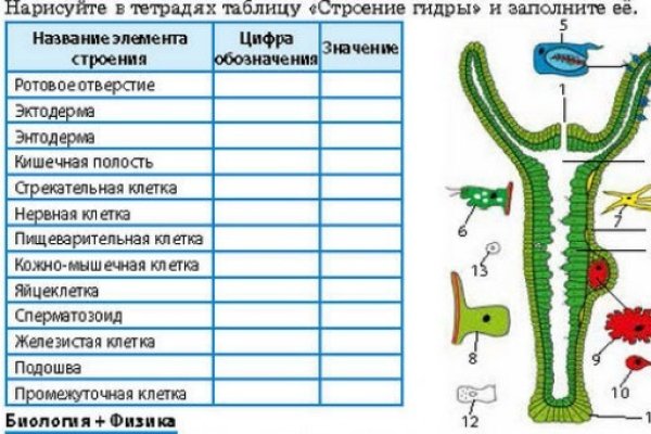 Что такое кракен сайт